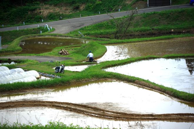 大月の棚田　IMG_1003_01.JPG