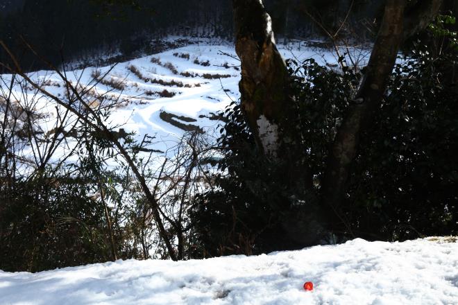 棚田も雪