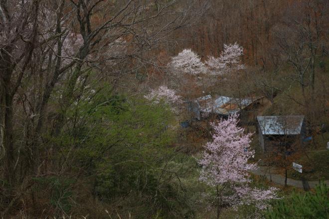 炭焼き小屋