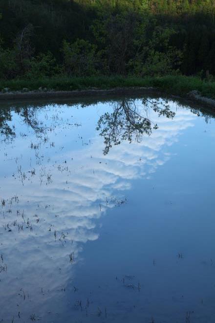 朝の雲