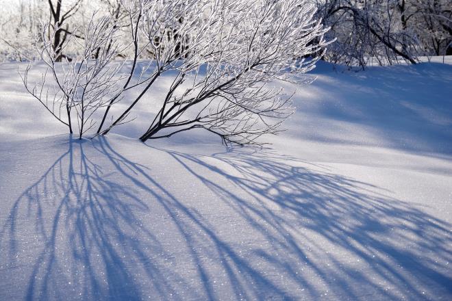 21雪上の影.jpg
