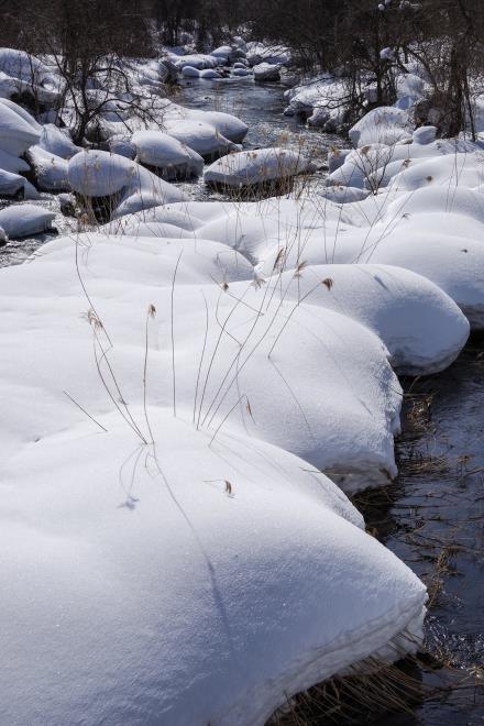 23長瀬川雪まんじゅう.jpg