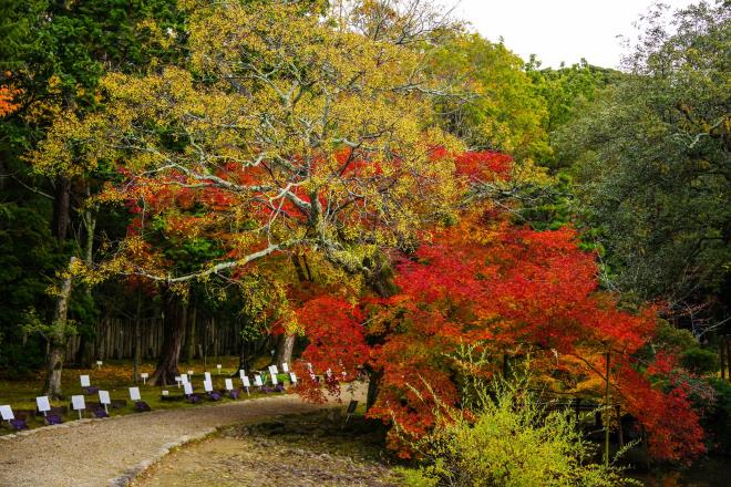 21万葉植物園.jpg