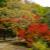21万葉植物園.jpg