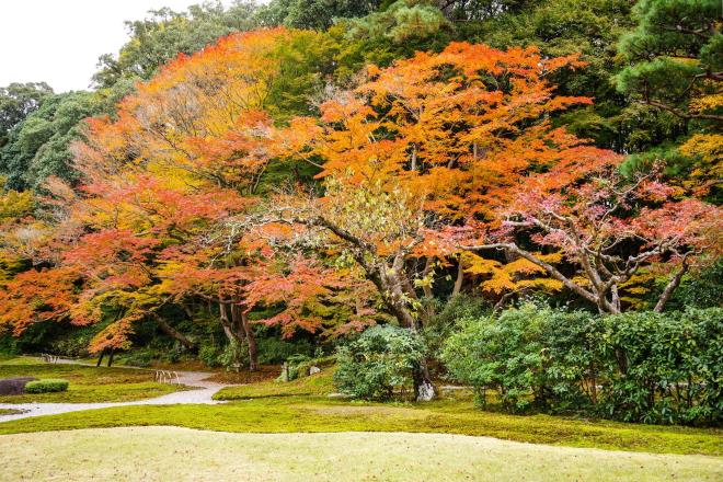 05吉城園