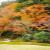 05吉城園