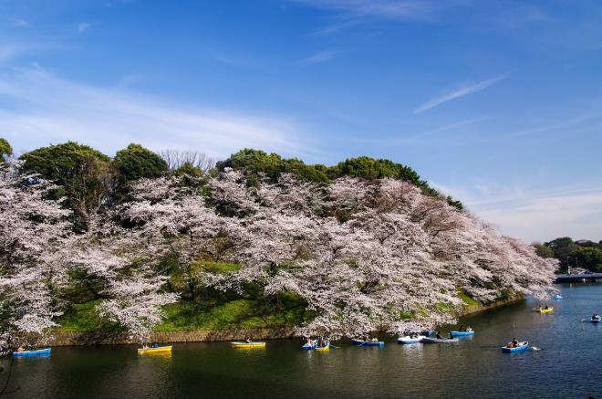 21千鳥ヶ淵.jpg