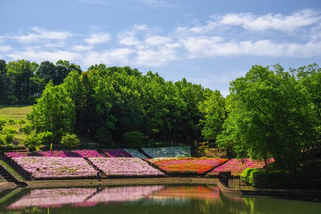 07つつじの丘公園.jpg