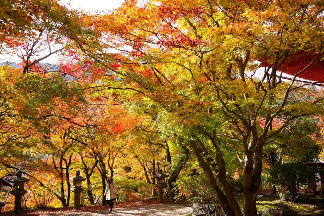 08談山神社.jpg