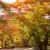 08談山神社.jpg