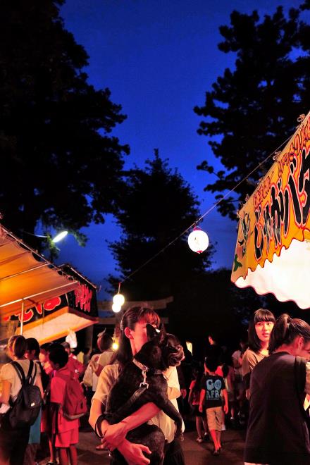 わんこもお祭りに