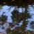 DSCF6984.JPG