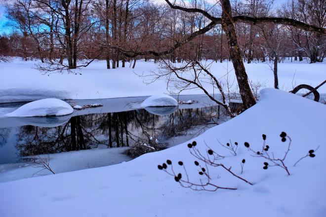 曽原付近の水路