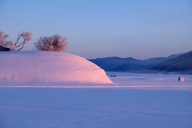 雪見大福がピンクに（笑）