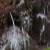 DSCF1277.JPG