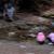 DSCF1266.JPG