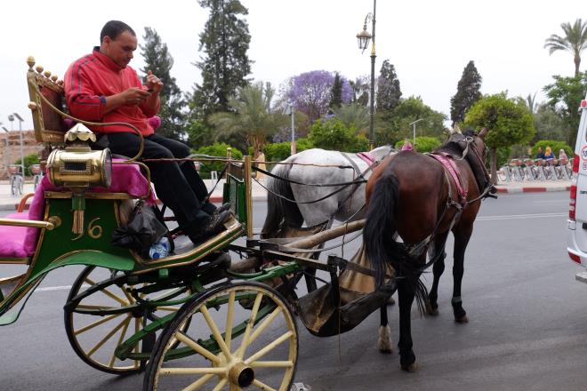 観光用の馬車