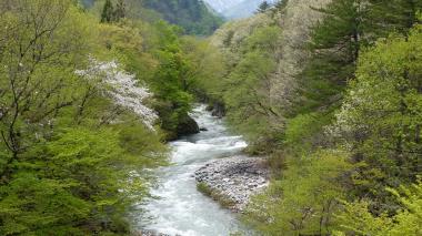 伊奈川