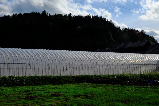 南郷地区のトマトハウス