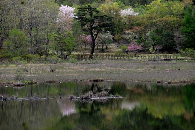 観音沼森林公園