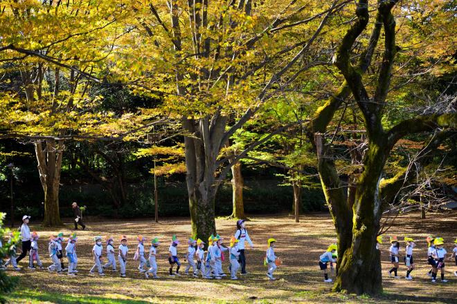 _2021-11-5光が丘公園・園児_426.JPG