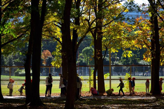 _2021-11-4光が丘公園・園児_82.JPG