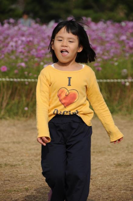 ピンクの花が大好きです