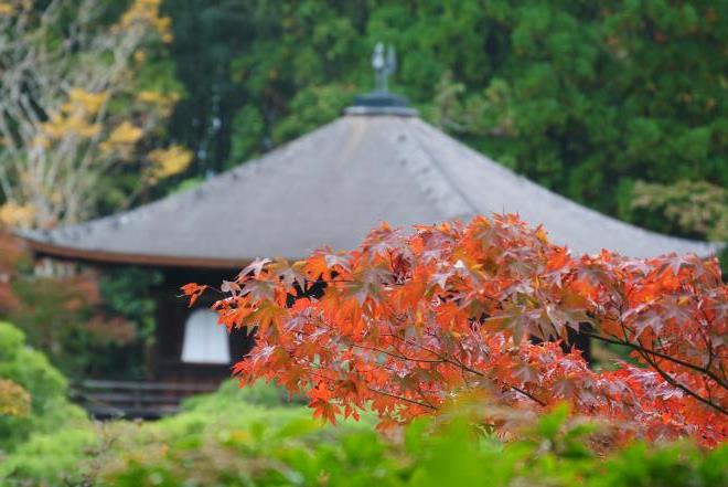 銀閣寺.JPG