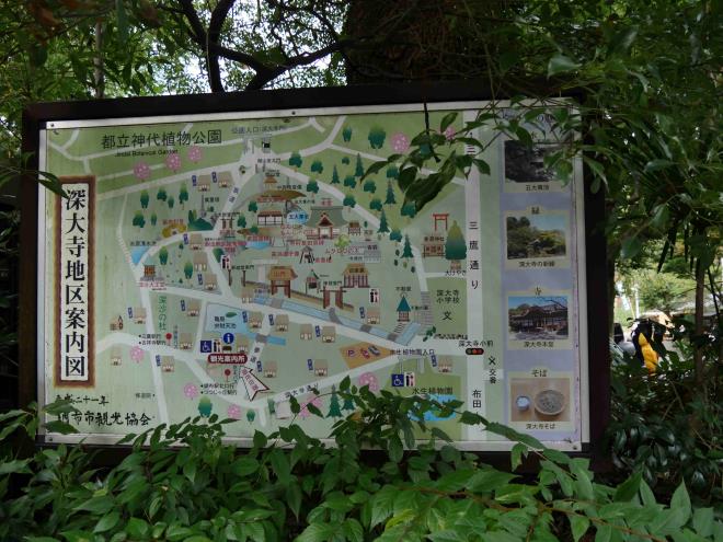 ぶらり　あなたもいかが？