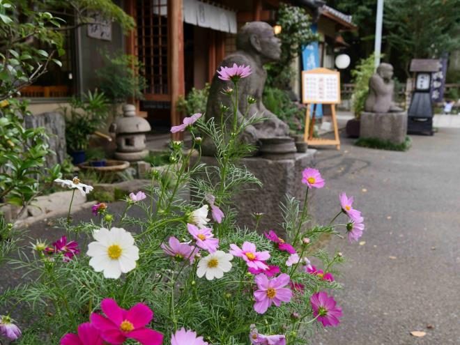 老舗蕎麦処「嶋田家」