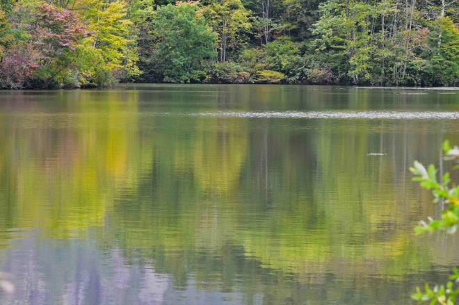 曇り空の色もイイですね