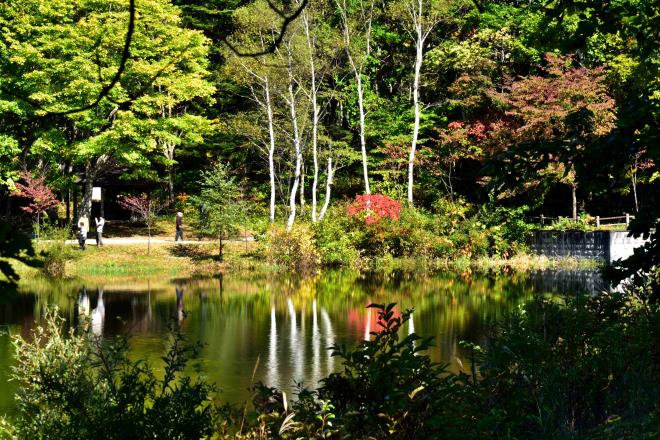 見頃にはもう少し