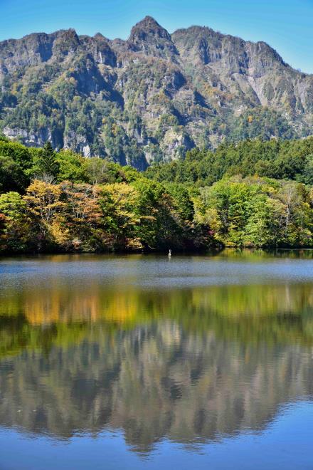 早朝がよかったでしょう