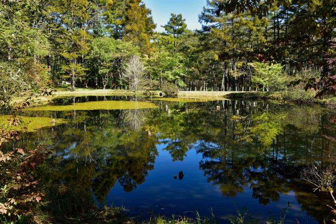 戸隠連峰の映り込みは無理そう