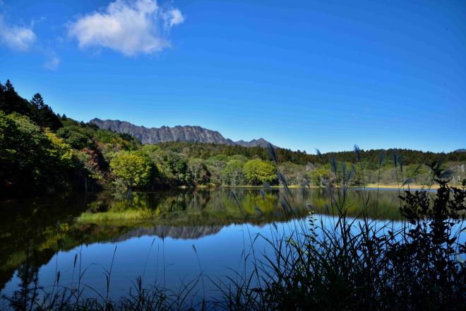 小鳥ヶ池全景