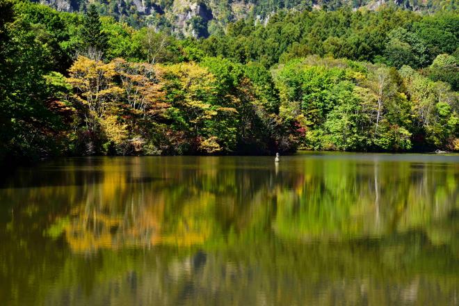 映り込みの揺らぎ