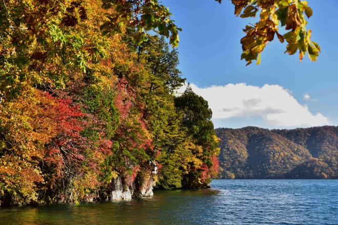 見応えがありました