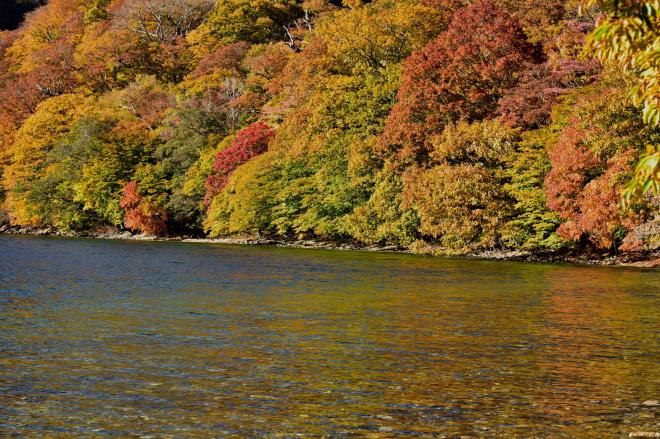 湖面が綺麗です