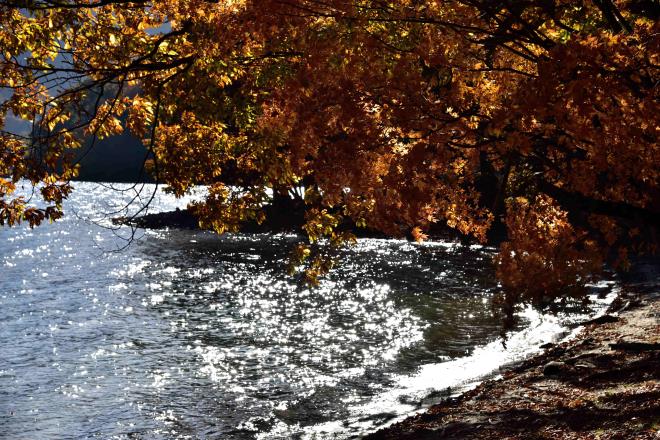 湖面がキラキラ