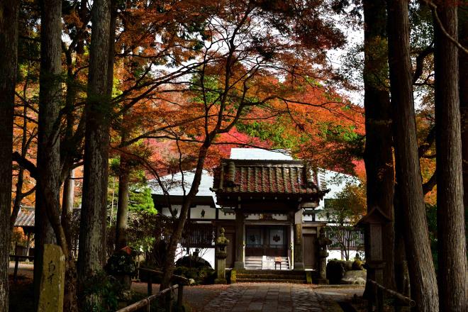 長安寺山門　DSC_0133.jpg