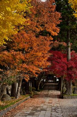 長安寺参道　DSC_0062.jpg