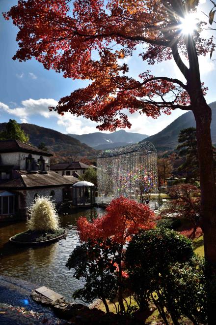 箱根ガラスの森美術館　DSC_0216.jpg