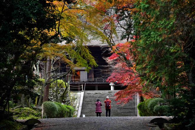 三井寺　DSC_0878.jpg