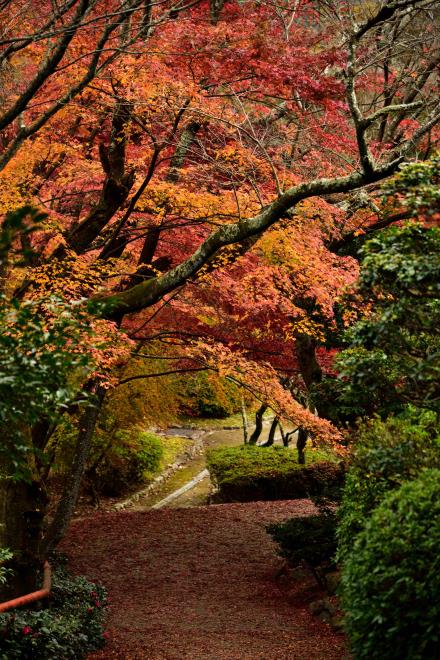 石山寺　DSC_0644.jpg