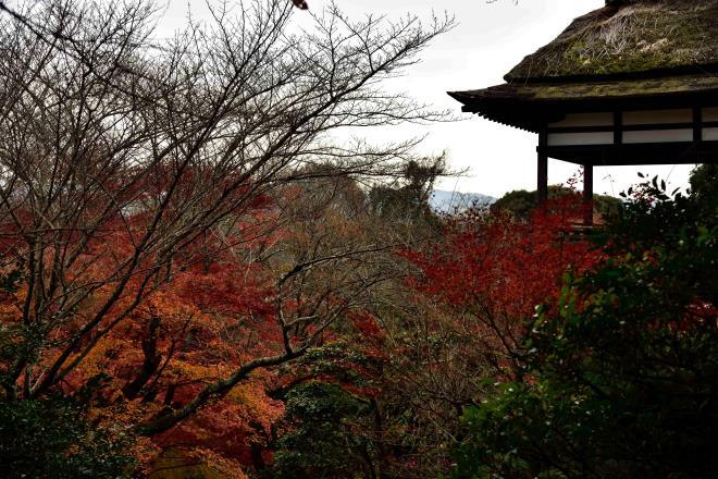 石山寺　DSC_0645.jpg