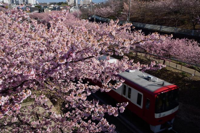 京急電車の窓から見たことはありましたDSC_1871.jpg