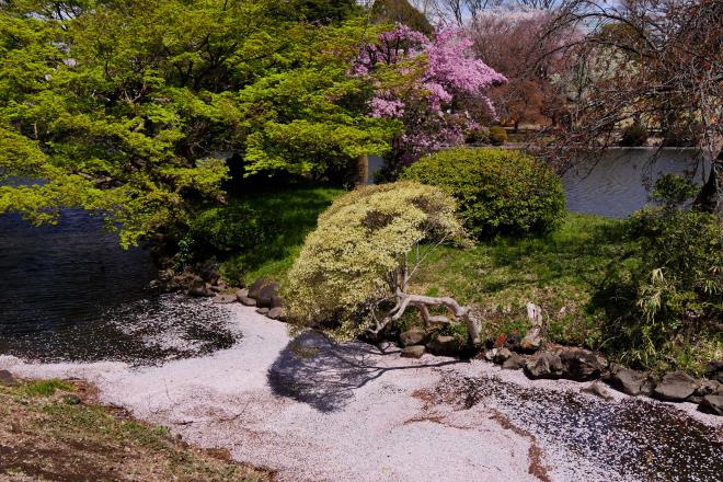 池の片隅で