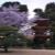 椿山荘庭園　P1055201.jpg