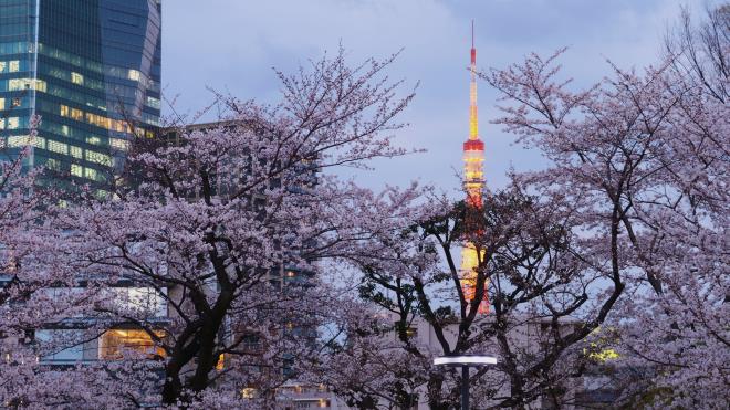 東京タワー遠望　P1054623.jpg