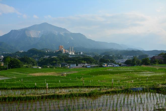 武甲山と棚田